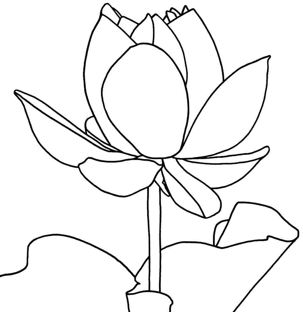 Lotus Flower Printable Coloring Pages