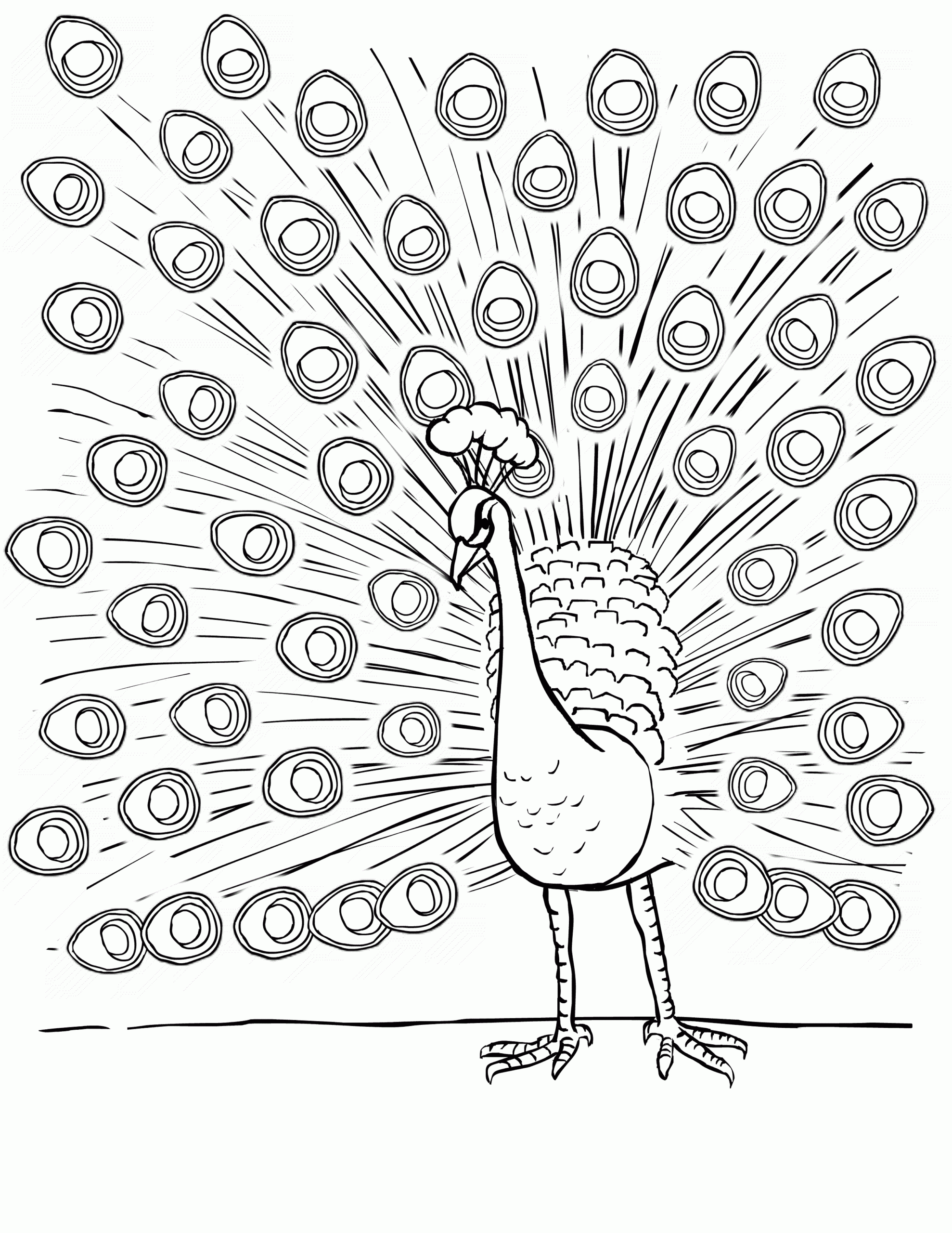 Free Printable Peacock Coloring Pages For Kids