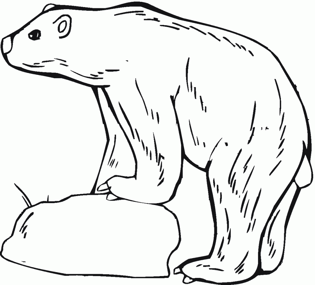 Free Printable Polar Bear Coloring Pages For Kids