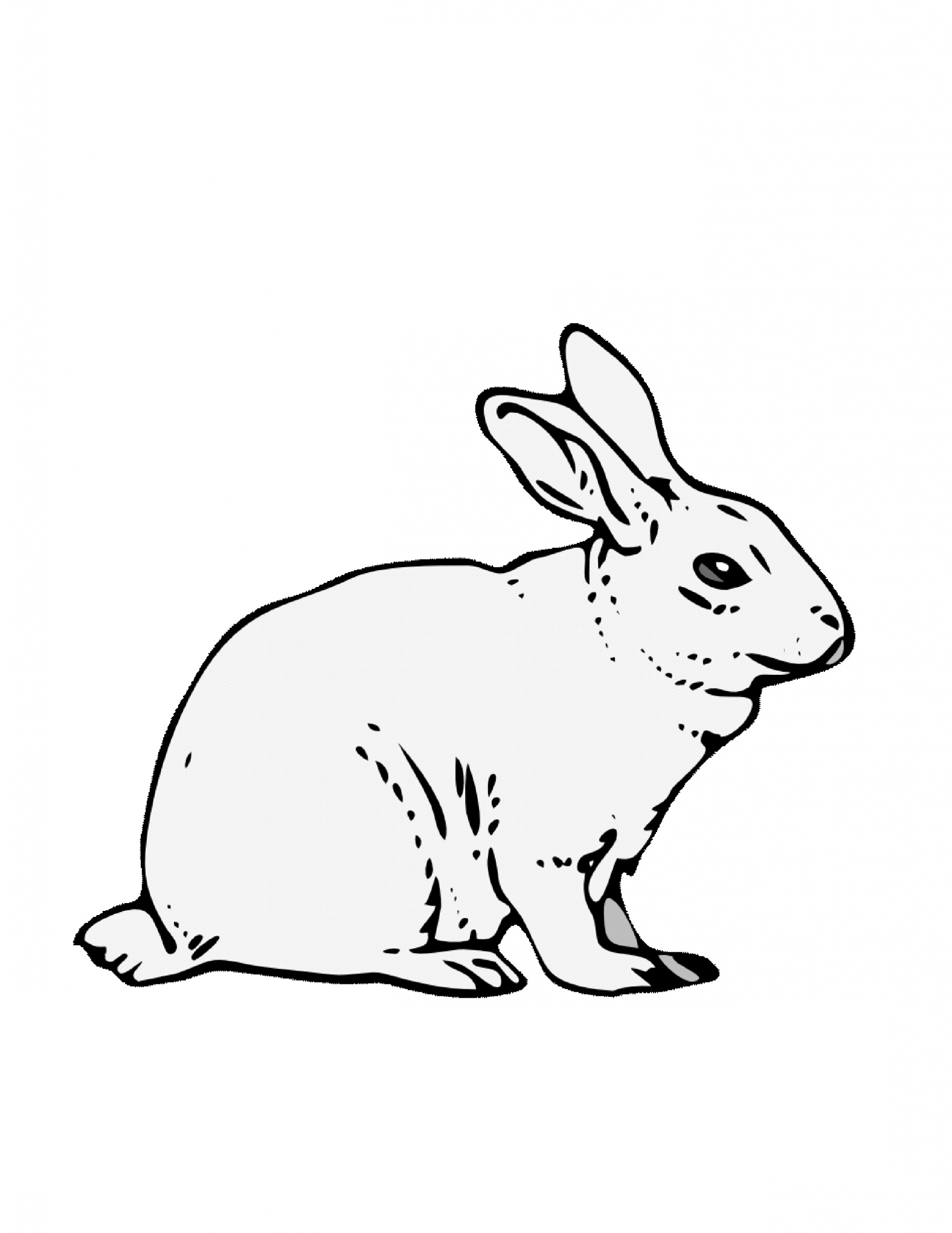 Bunny Coloring Page