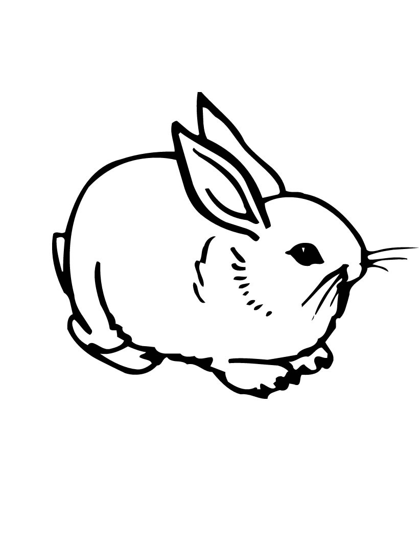 Bunny Printable Coloring Page