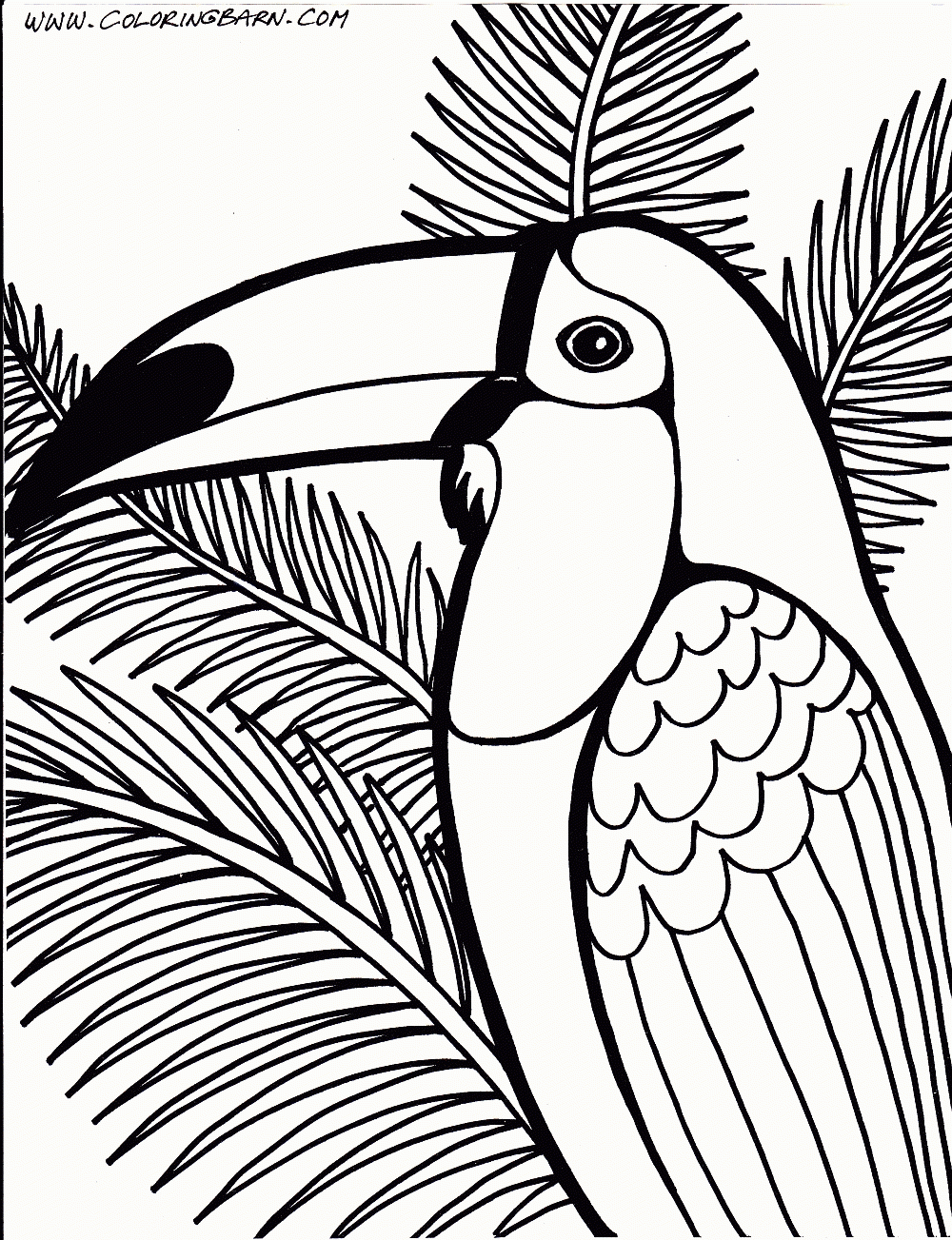 Rainforest Coloring Pages