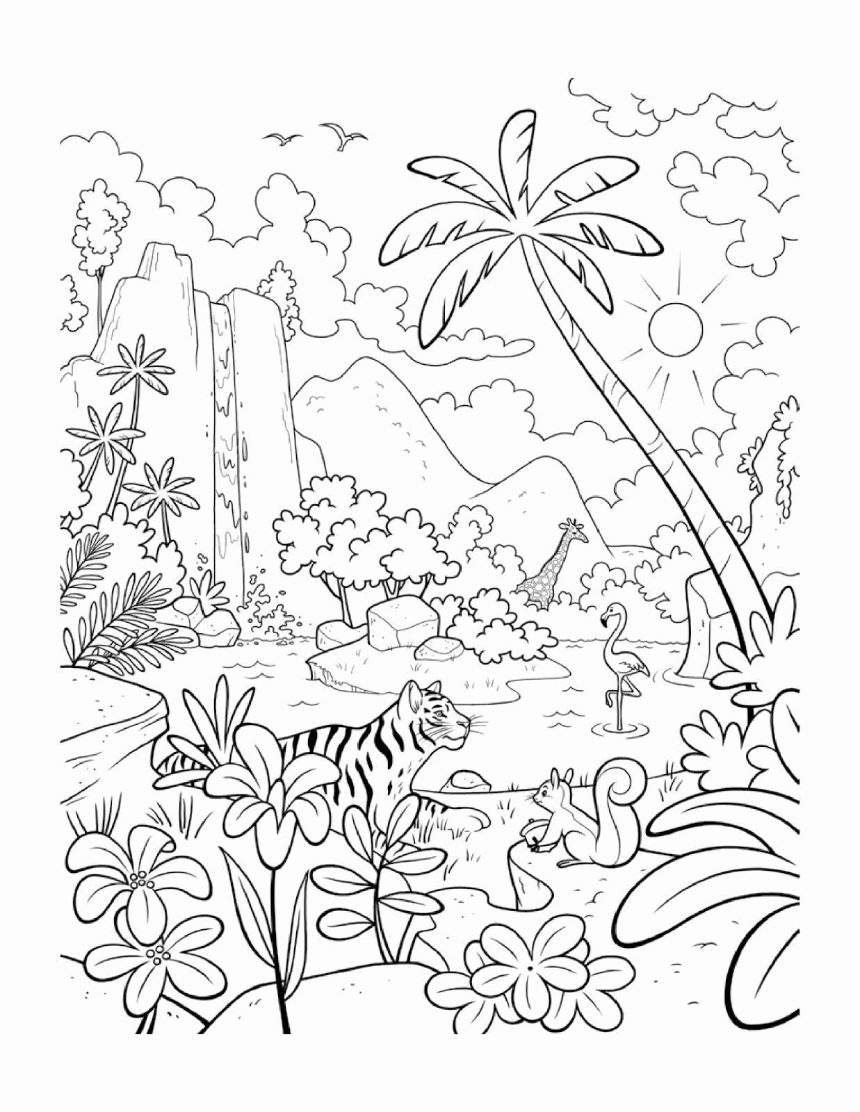 Free Printable Rainforest Coloring Pages Pdf Coloringfolder Animal Coloring Pages