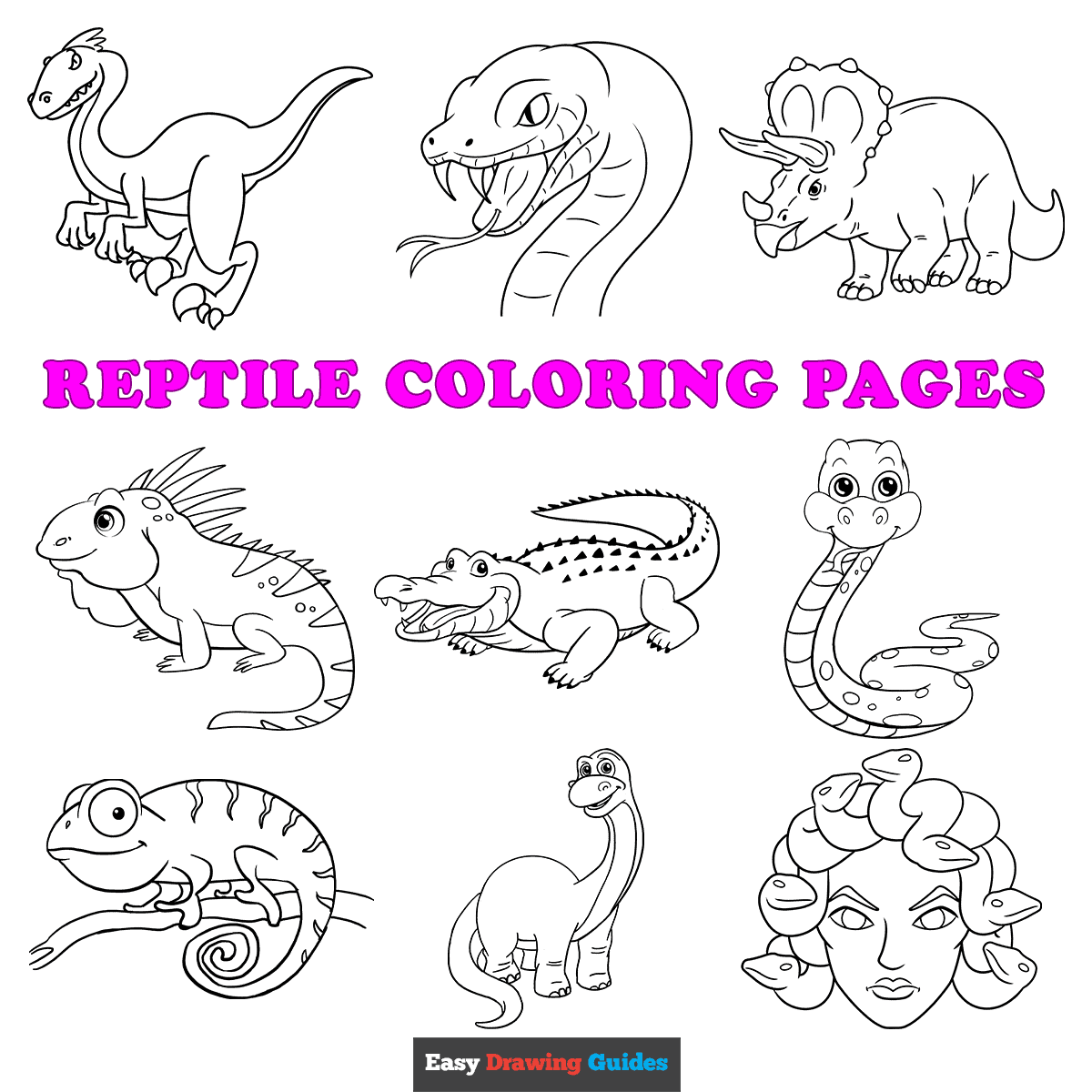 Free Printable Reptile Coloring Pages For Kids
