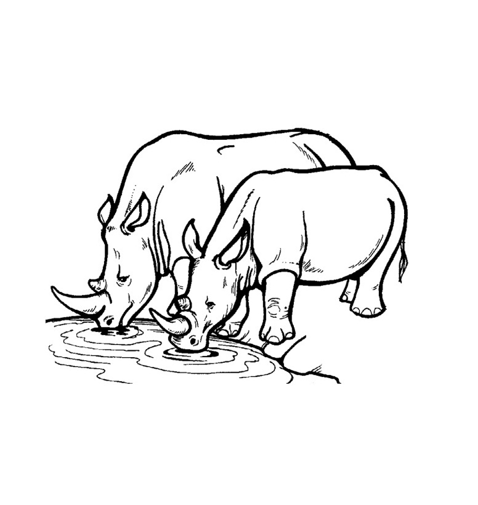 Free Printable Rhinoceros Coloring Pages