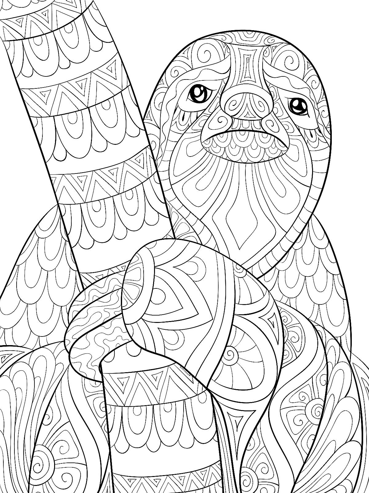 Free Printable Sloth Coloring Pages