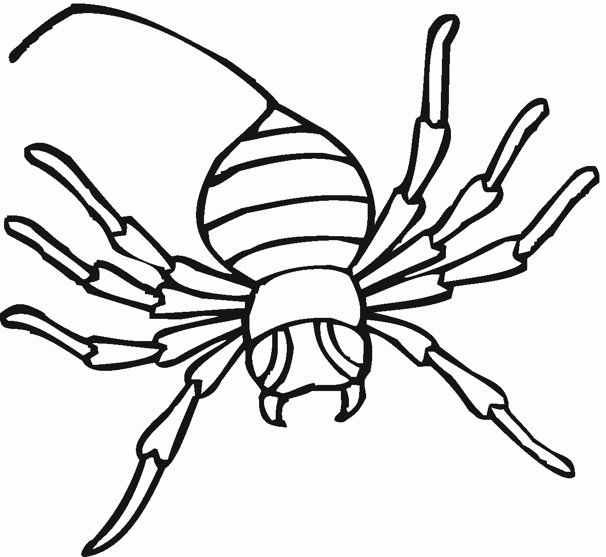 Spiders Coloring Pages