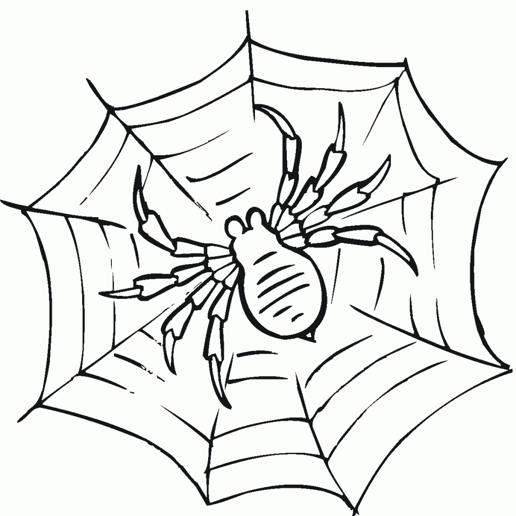 Free Printable Spider Web Coloring Pages For Kids
