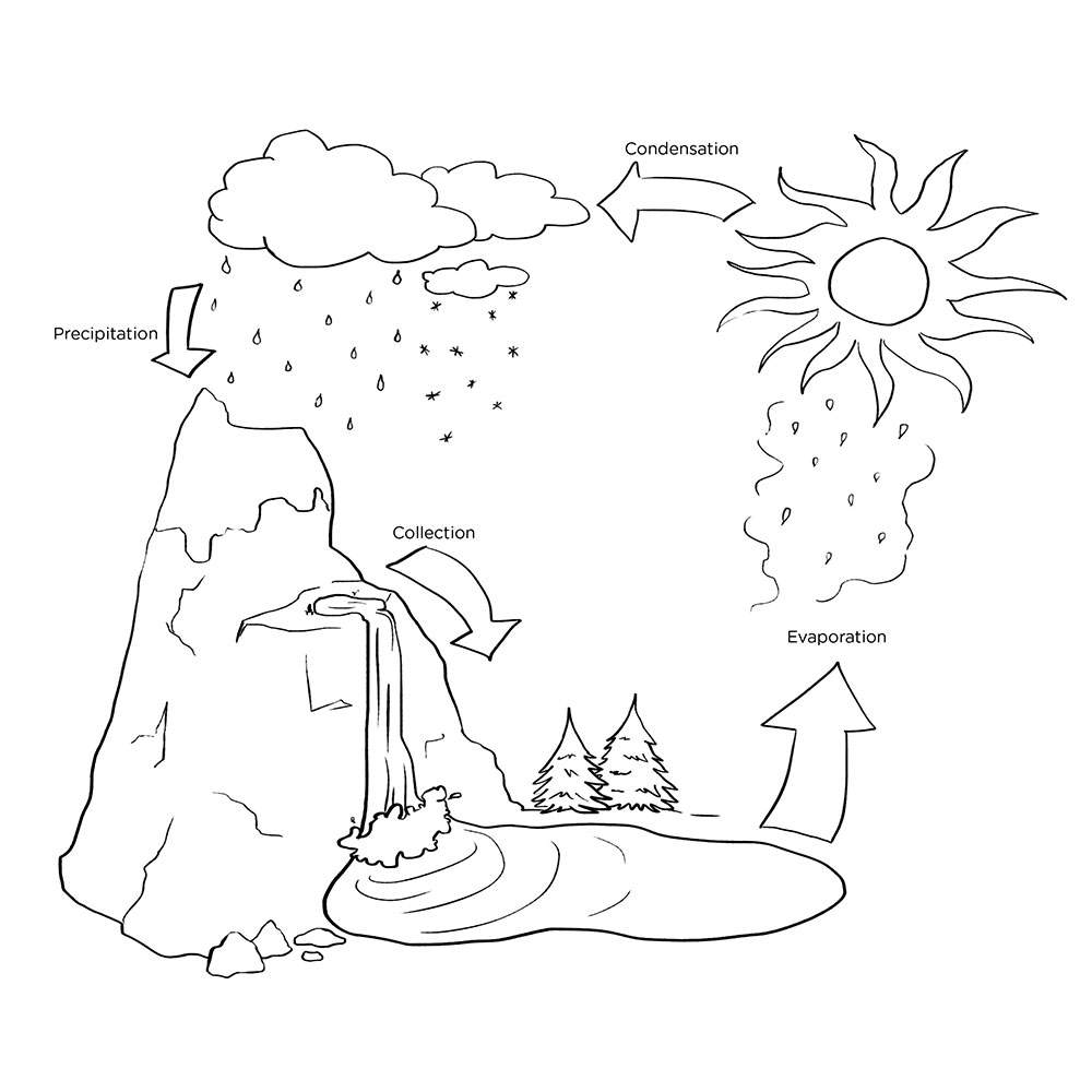 Free Printable Water Cycle Coloring Pages