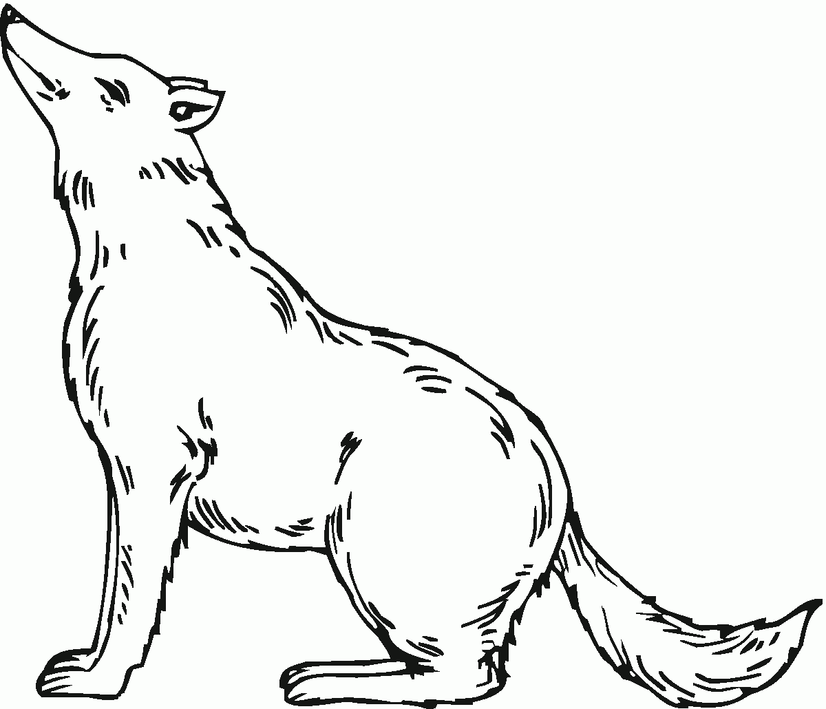 Wolf Coloring Pages Printable Free