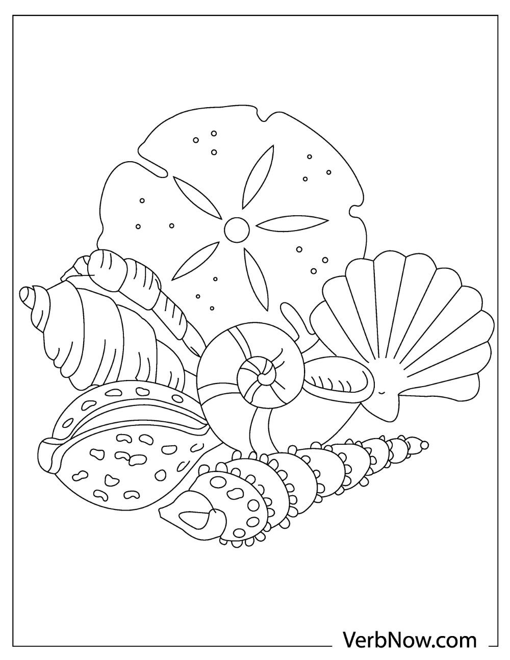 Free SHELLS Coloring Pages For Download PDF VerbNow