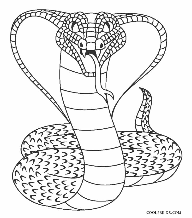 Free Snake Printables Printable Word Searches