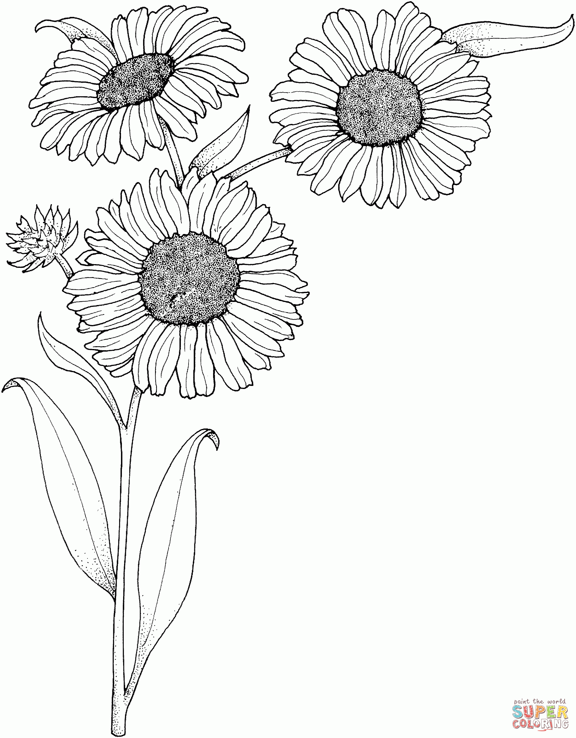 Free Sunflower Coloring Page Download Free Sunflower Coloring Page Png Images Free ClipArts On