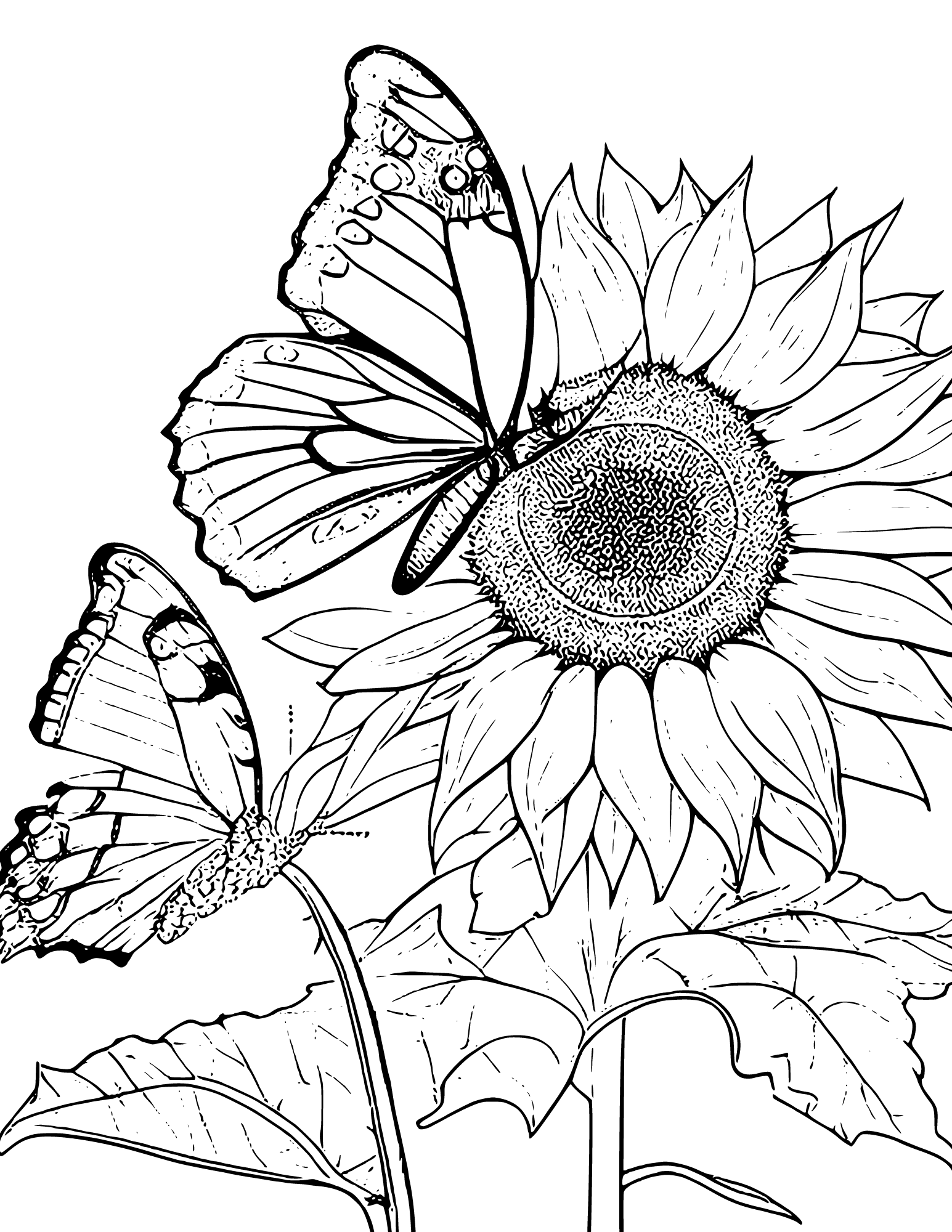 Sunflower Coloring Pages