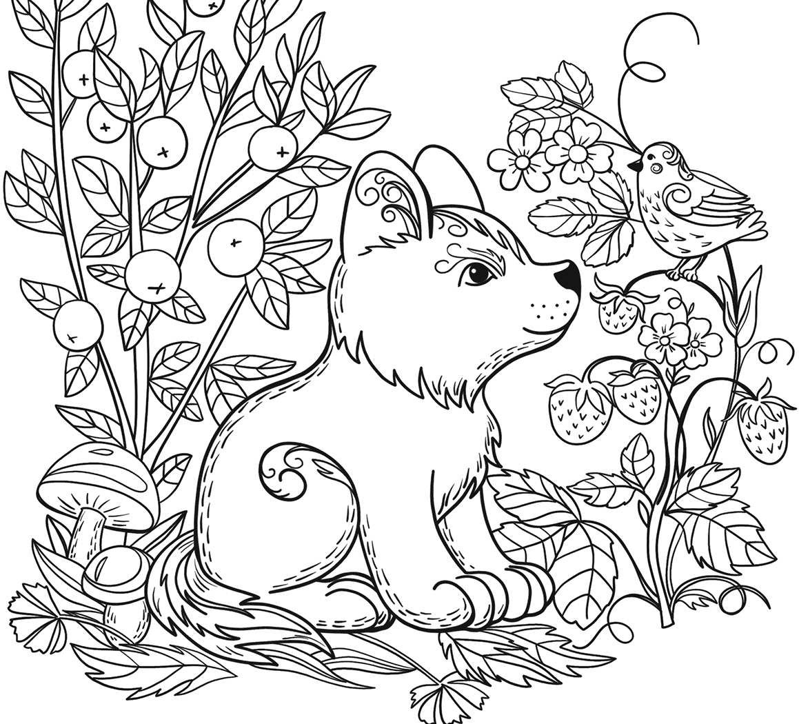 Free Wild Animal Coloring Pages At GetColorings Free Printable Colorings Pages To Print