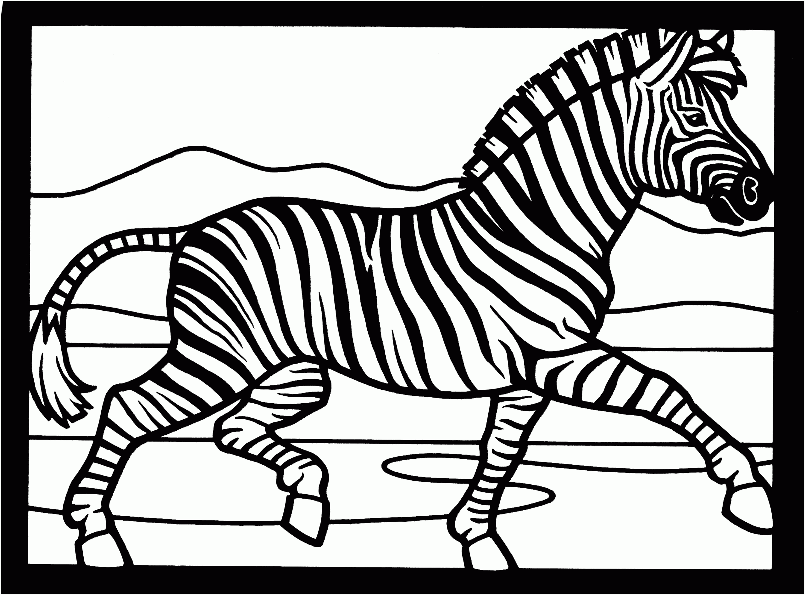 Zebra Coloring Pages