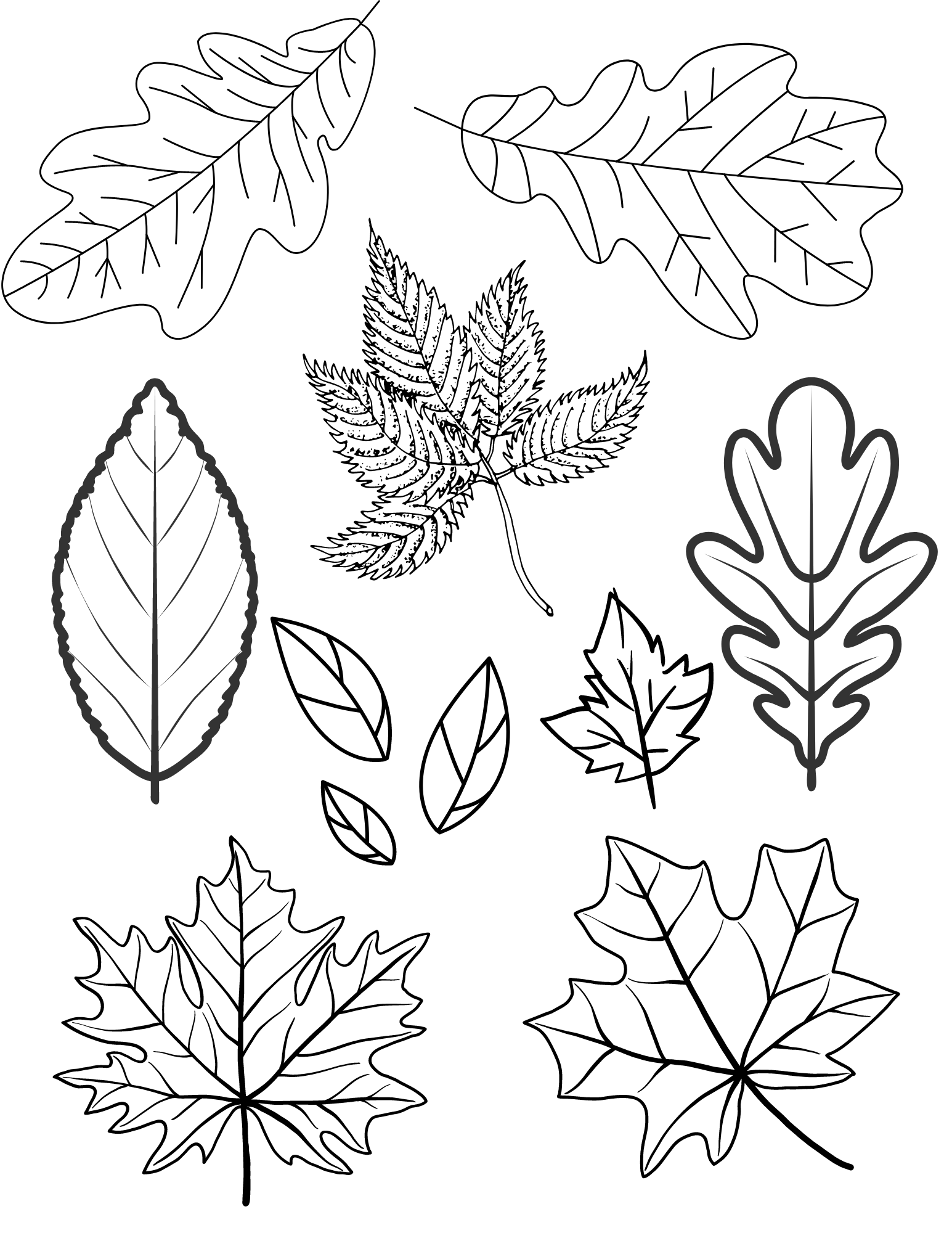 Fun Fall Leaves Coloring Pages For Kids And Adults
