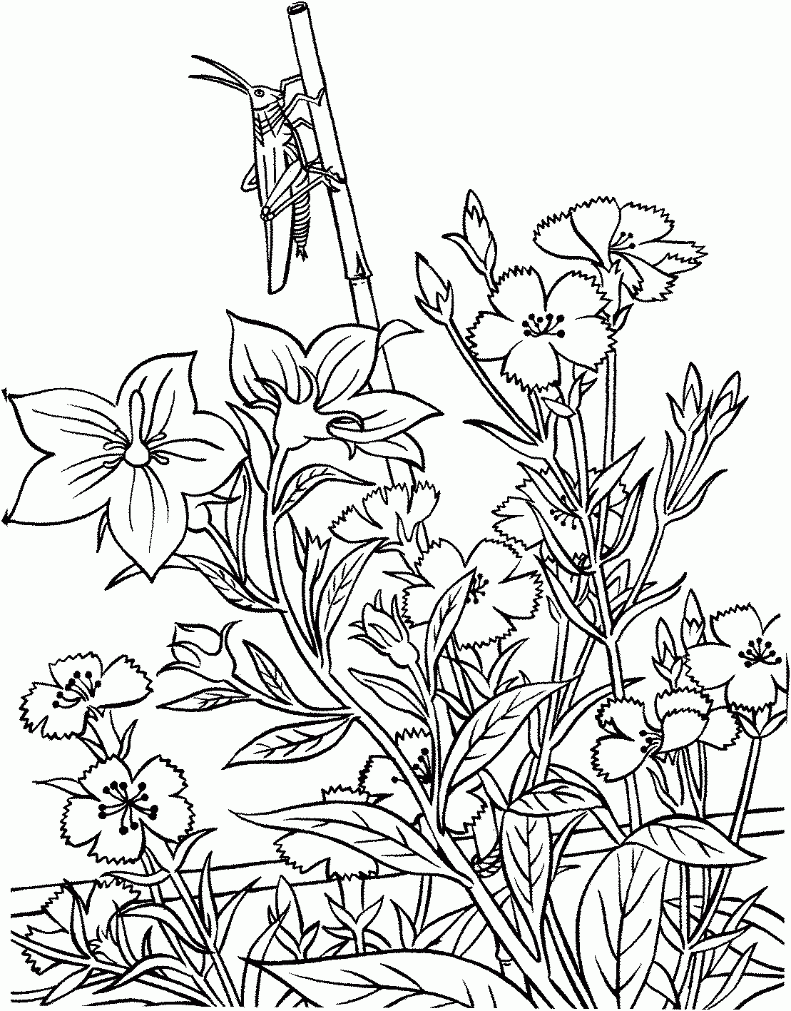 Gardening Coloring Pages To Download And Print For Free