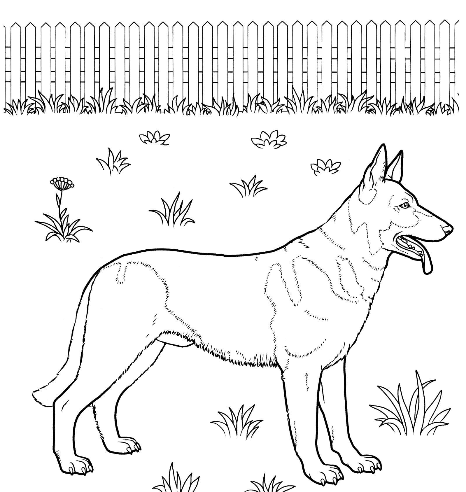 German Shepherd Coloring Pages Dog Coloring Pages Coloring Pages For Kids And Adults