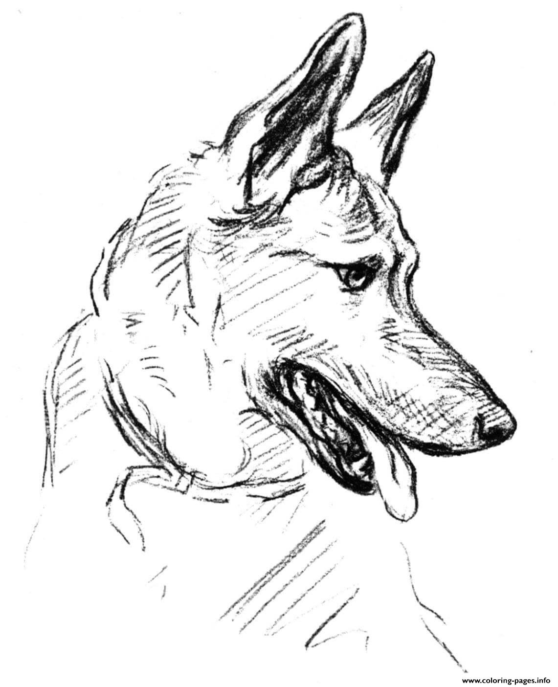 Printable German Shepherd Coloring Pages