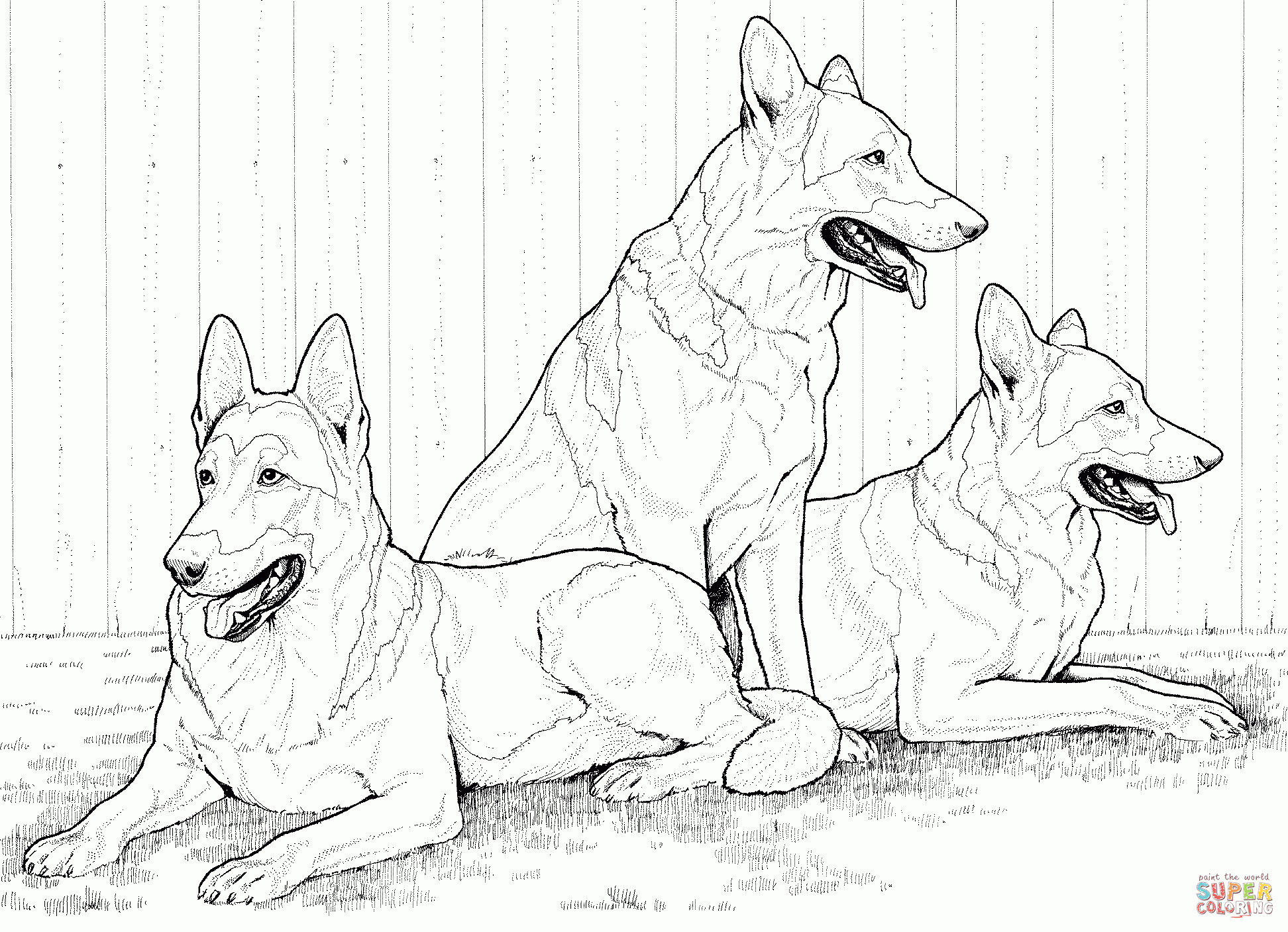 German Shepherd Dogs Coloring Page Free Printable Coloring Pages Coloring Home