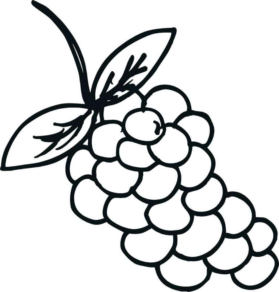 Grapes Coloring Pages Best Coloring Pages For Kids