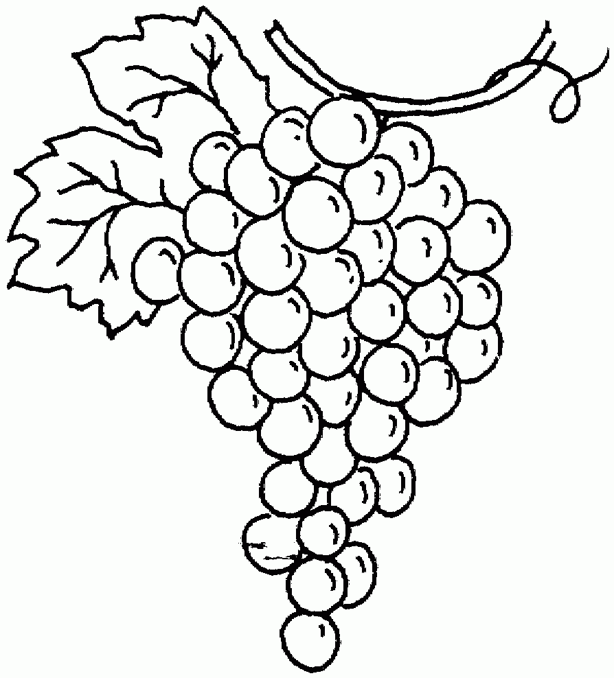 Free Printable Grape Coloring Pages