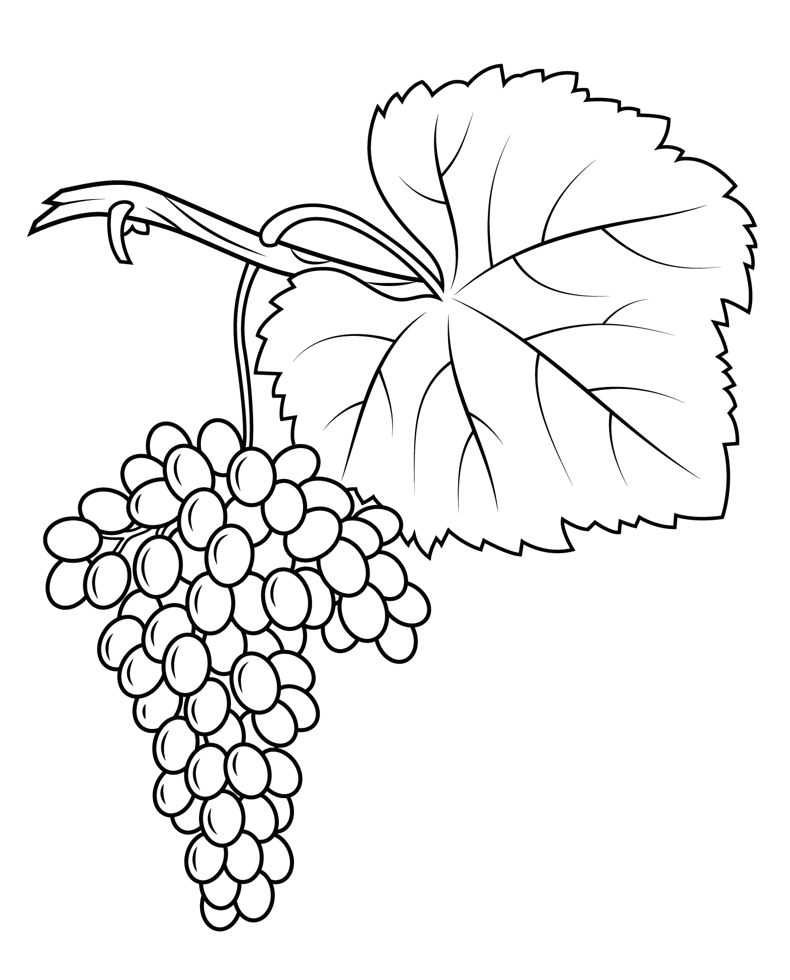 Grapes Coloring Pages Best Coloring Pages For Kids