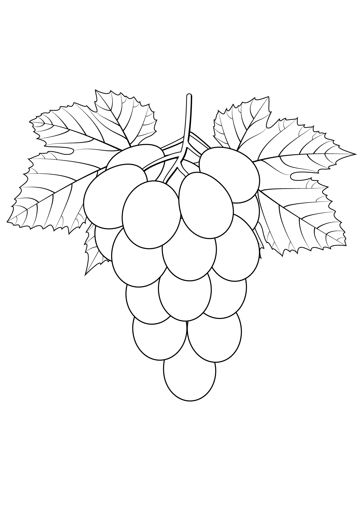 Grapes Coloring Page
