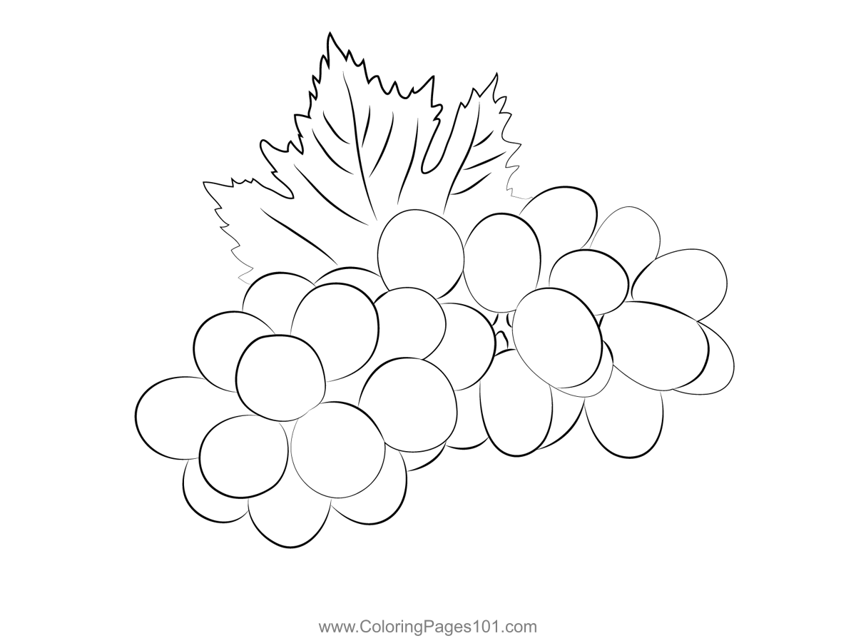 Green Grapes Coloring Page For Kids Free Grape Printable Coloring Pages Online For Kids