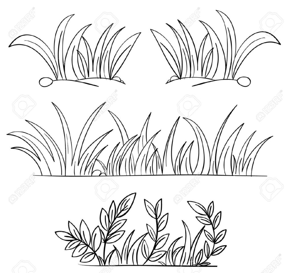 Green Grass Coloring Pages At GetColorings Free Printable Colorings Pages To Print And Color