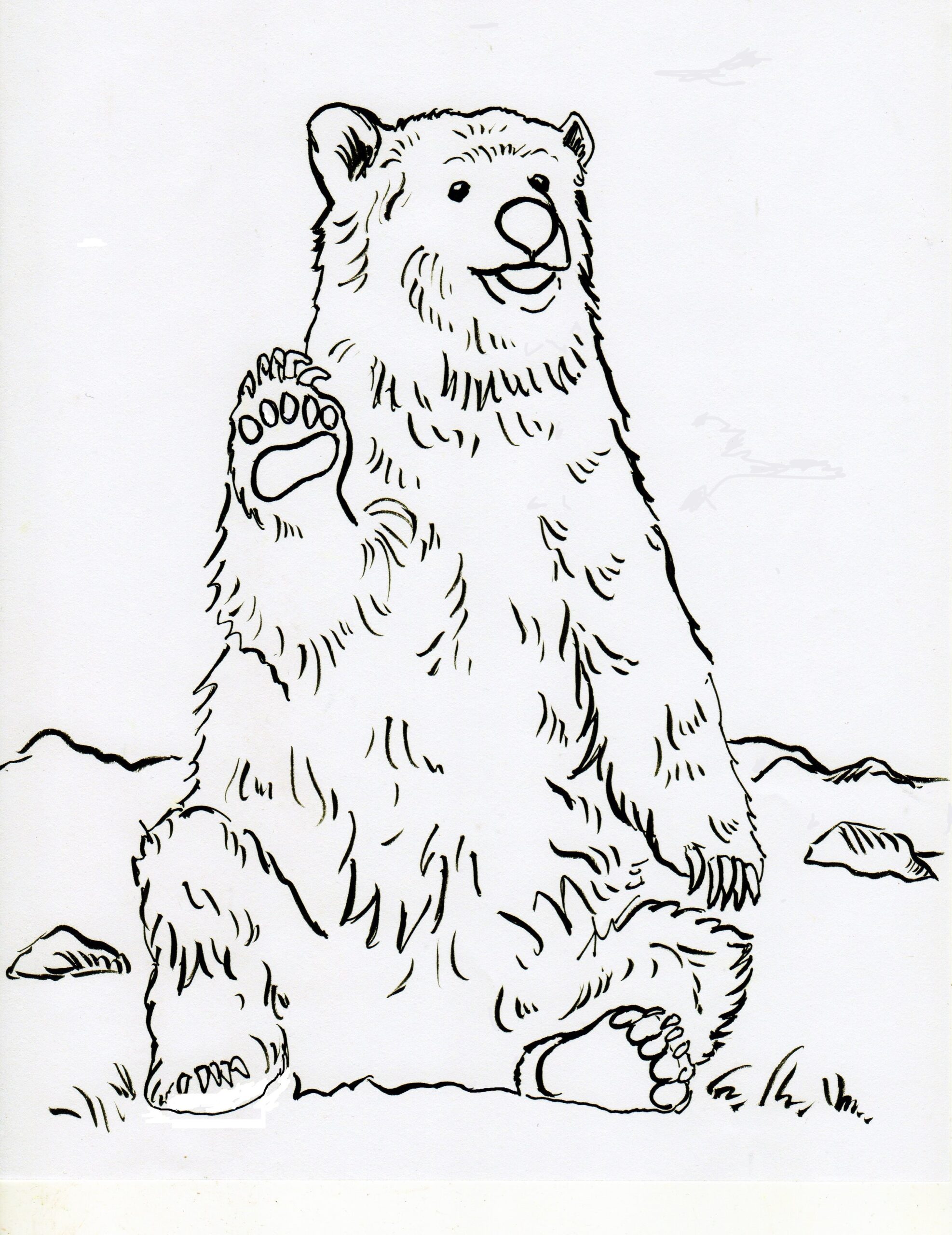Grizzly Bear Coloring Page Art Starts
