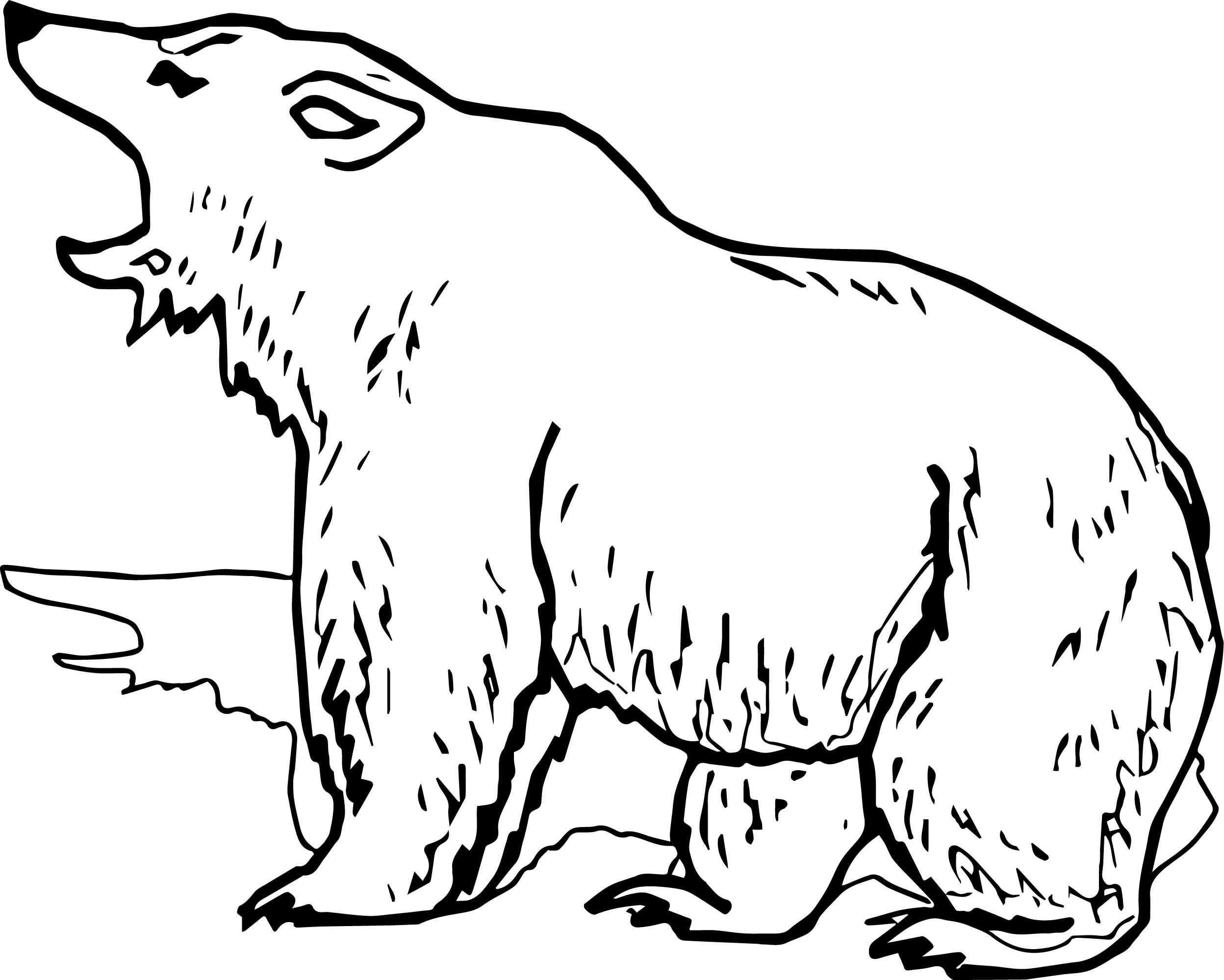 Grizzly Bear Coloring Pages At GetColorings Free Printable Colorings Pages To Print And Color