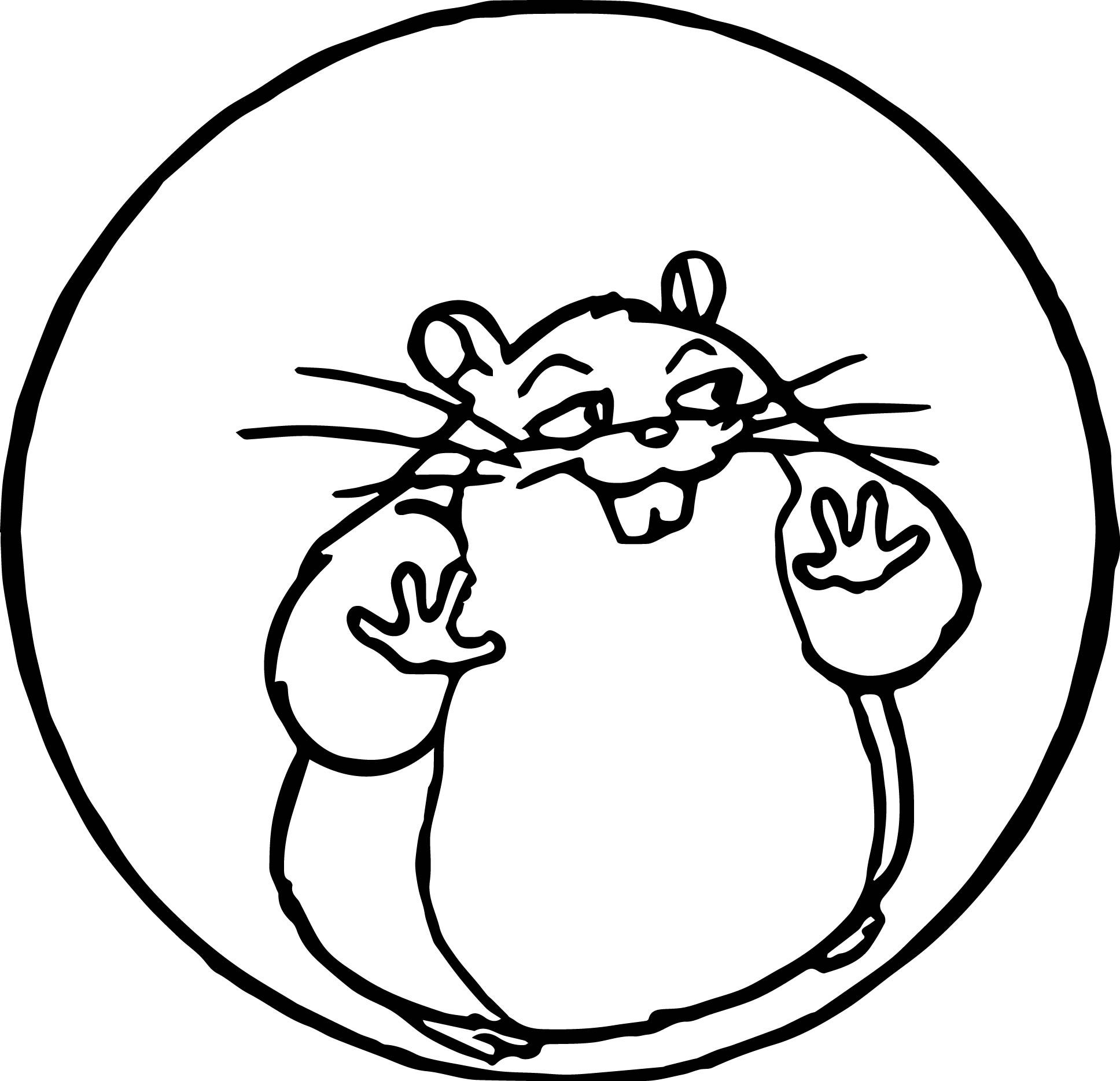 Hamster Coloring Pages Best Coloring Pages For Kids