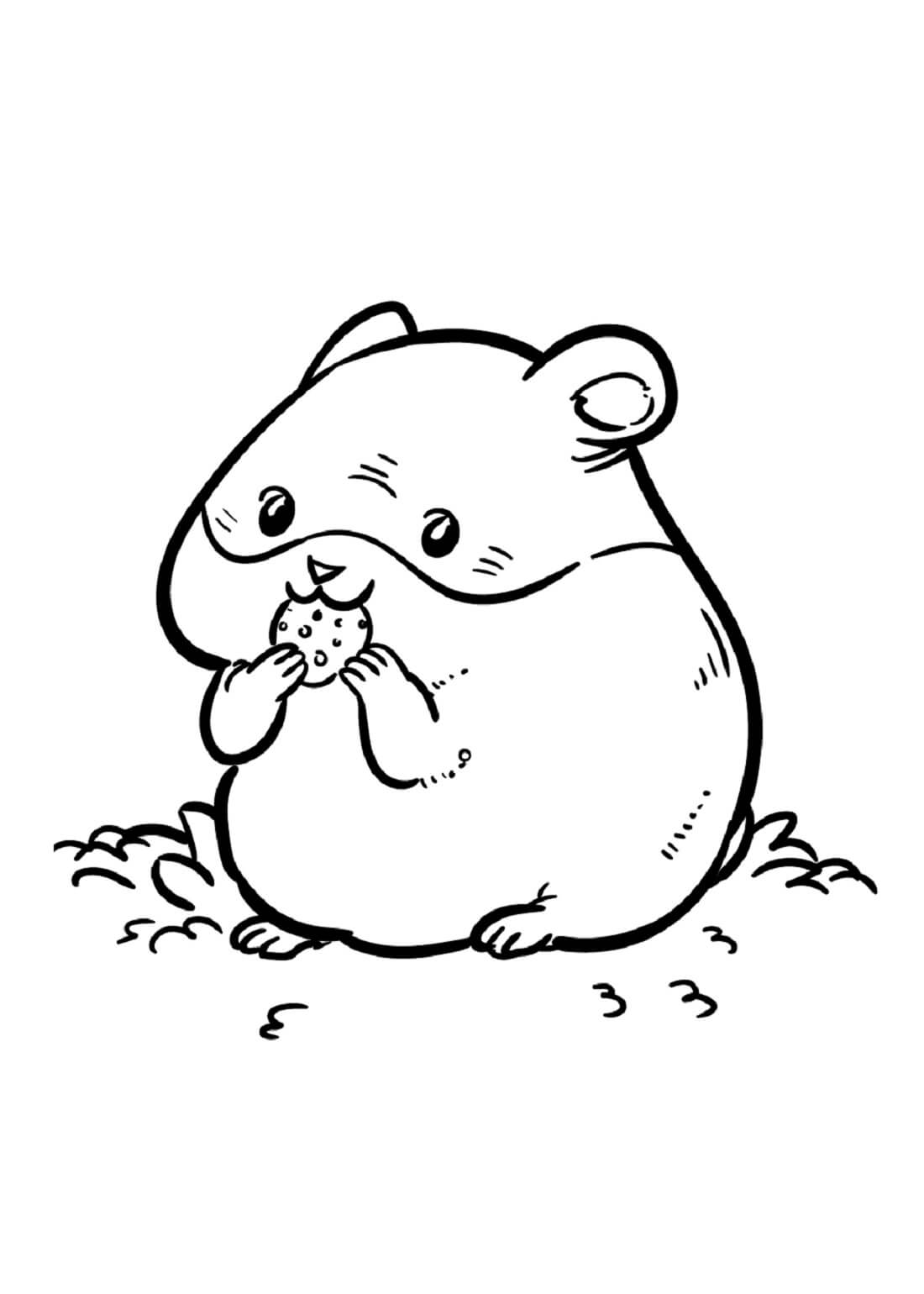 Hamster Eating Coloring Page Download Print Or Color Online For Free