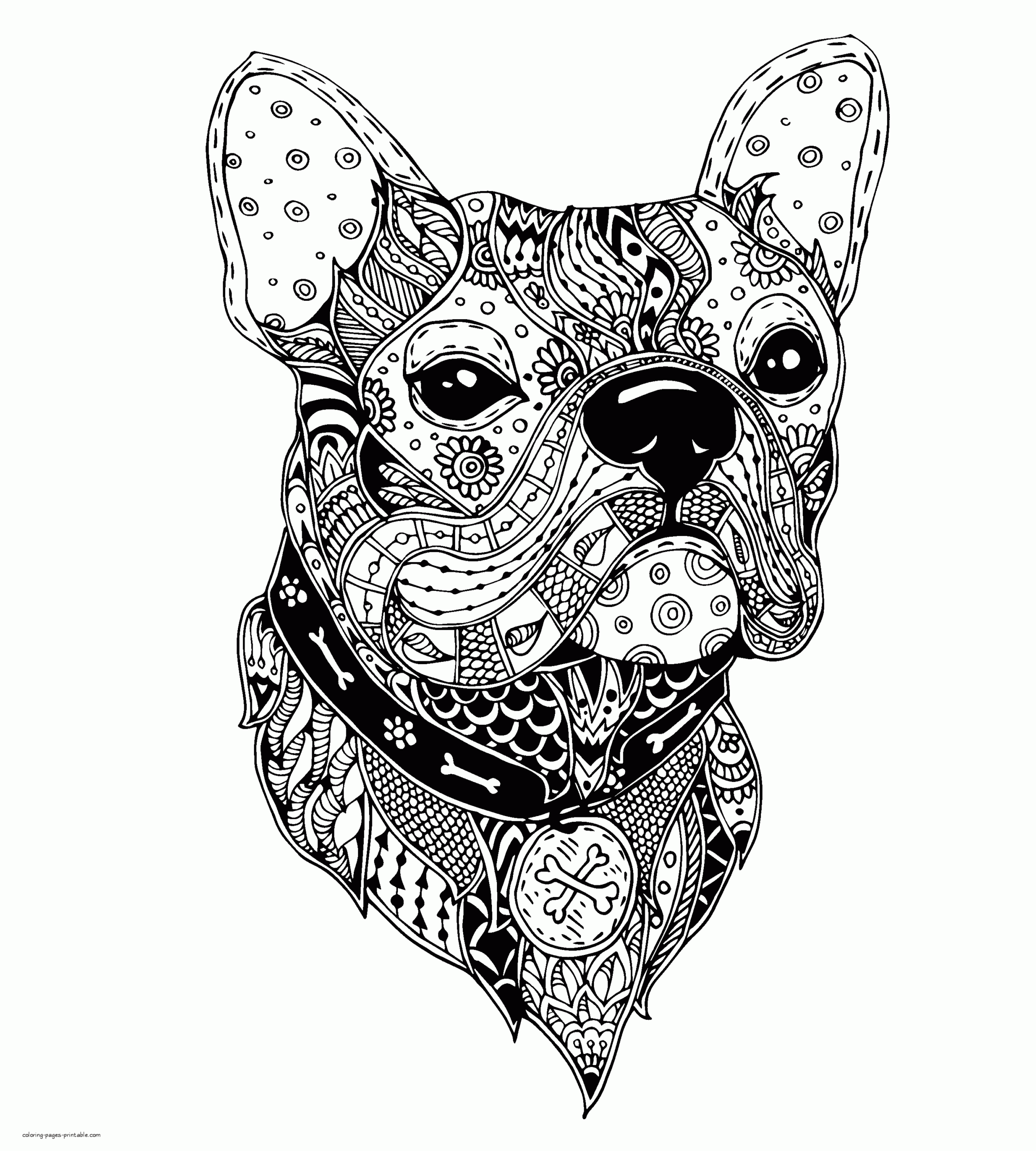 Coloring Pages For Adults Animals