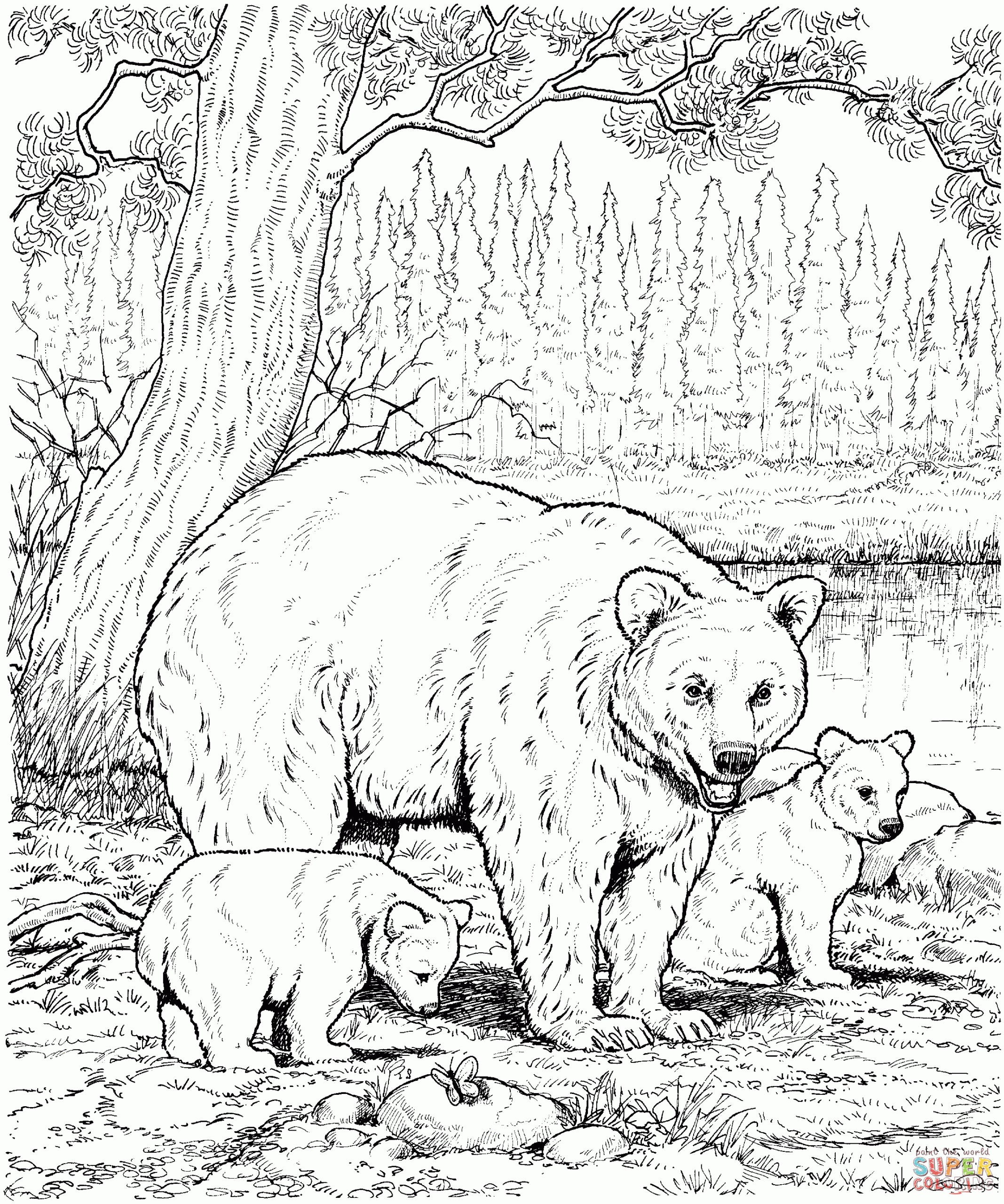 Hard Coloring Pages Of Animals Coloring Home