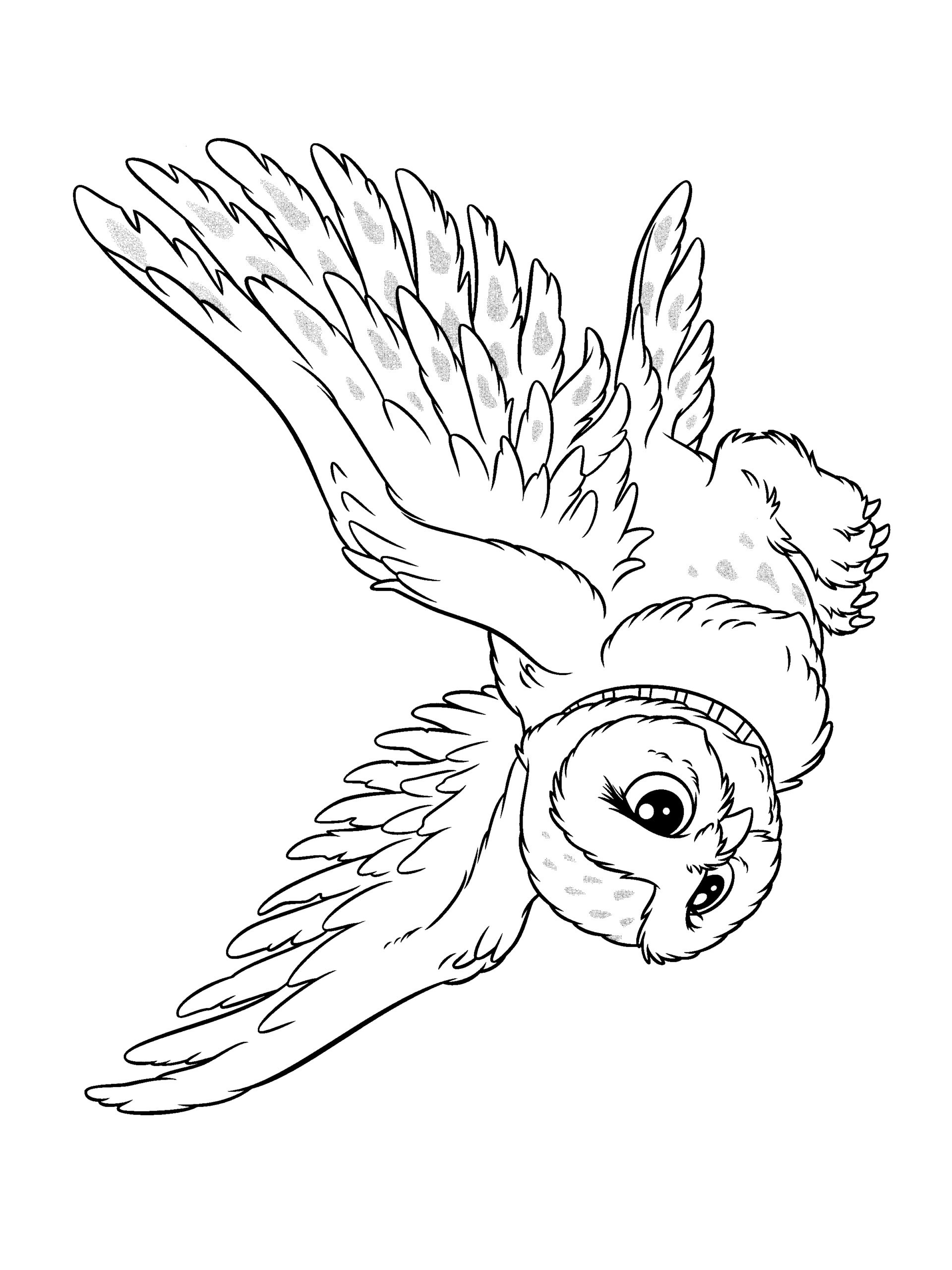 Hedwig Printable Coloring Page