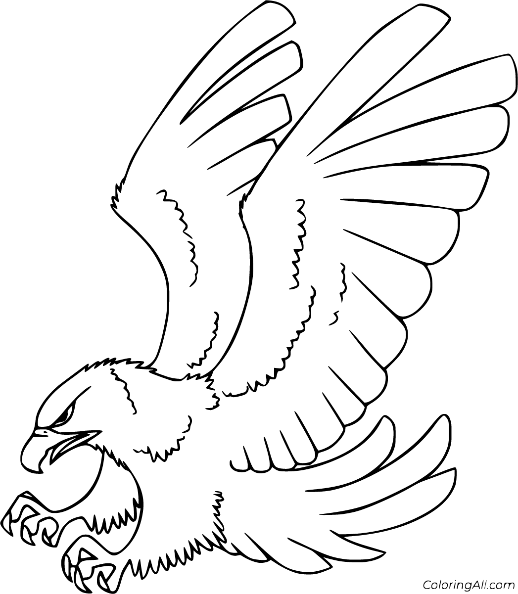 Hawk Coloring Pages 18 Free Printables ColoringAll