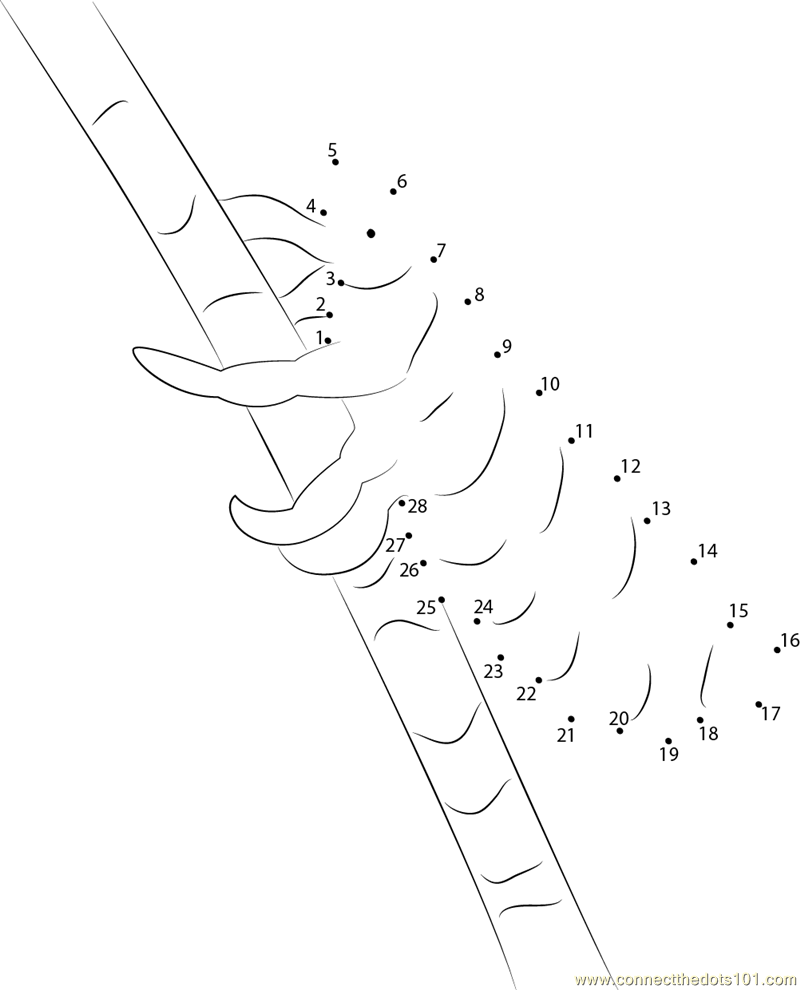 Head Lice Printable Coloring Page
