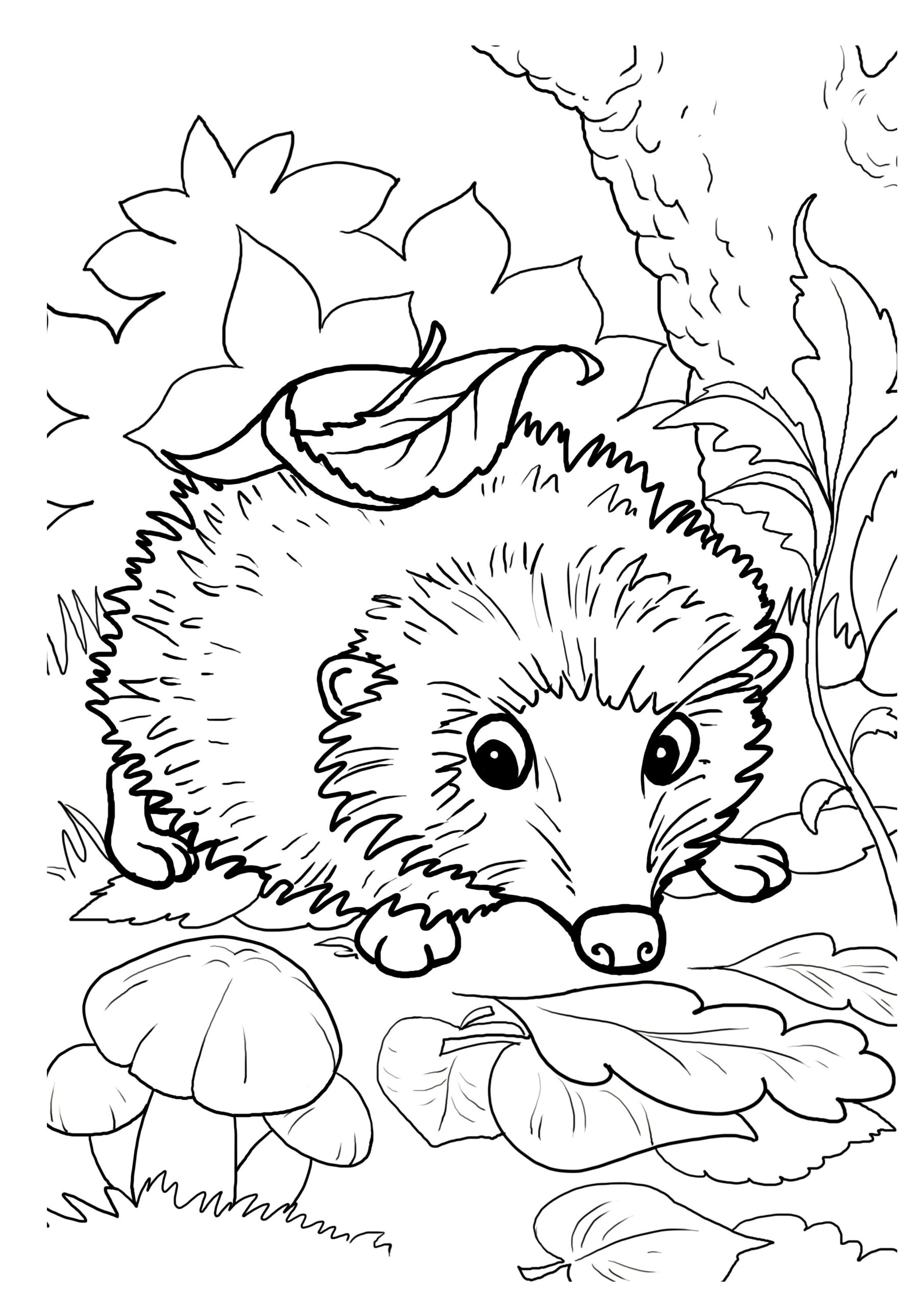 Hedgehogs Free Printable Coloring And Activity Page For Kids BuyLapbook