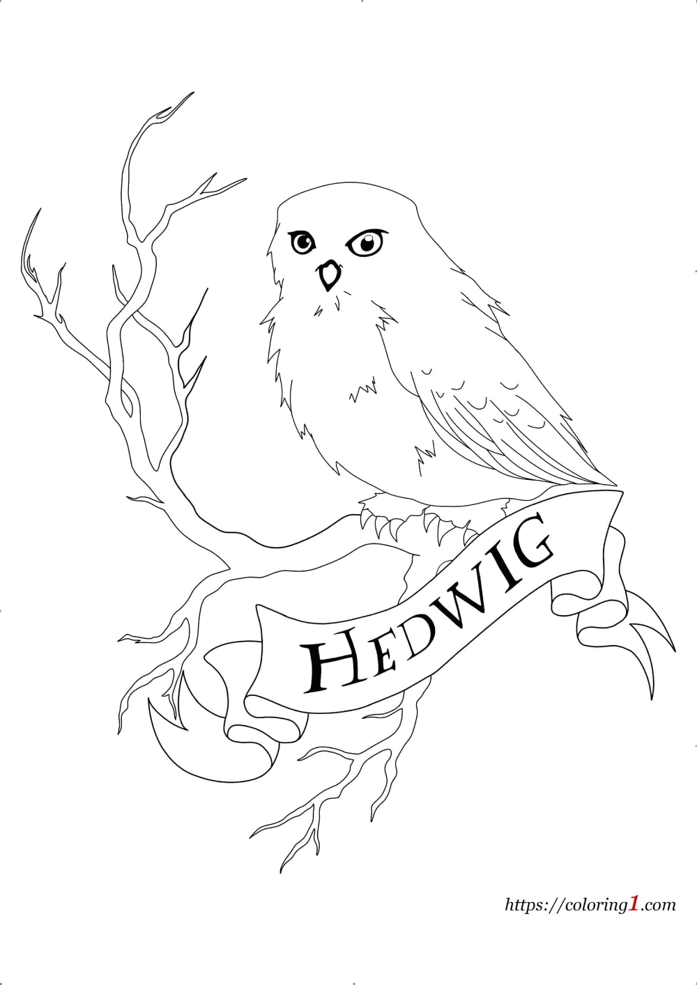 Hedwig Printable Coloring Page