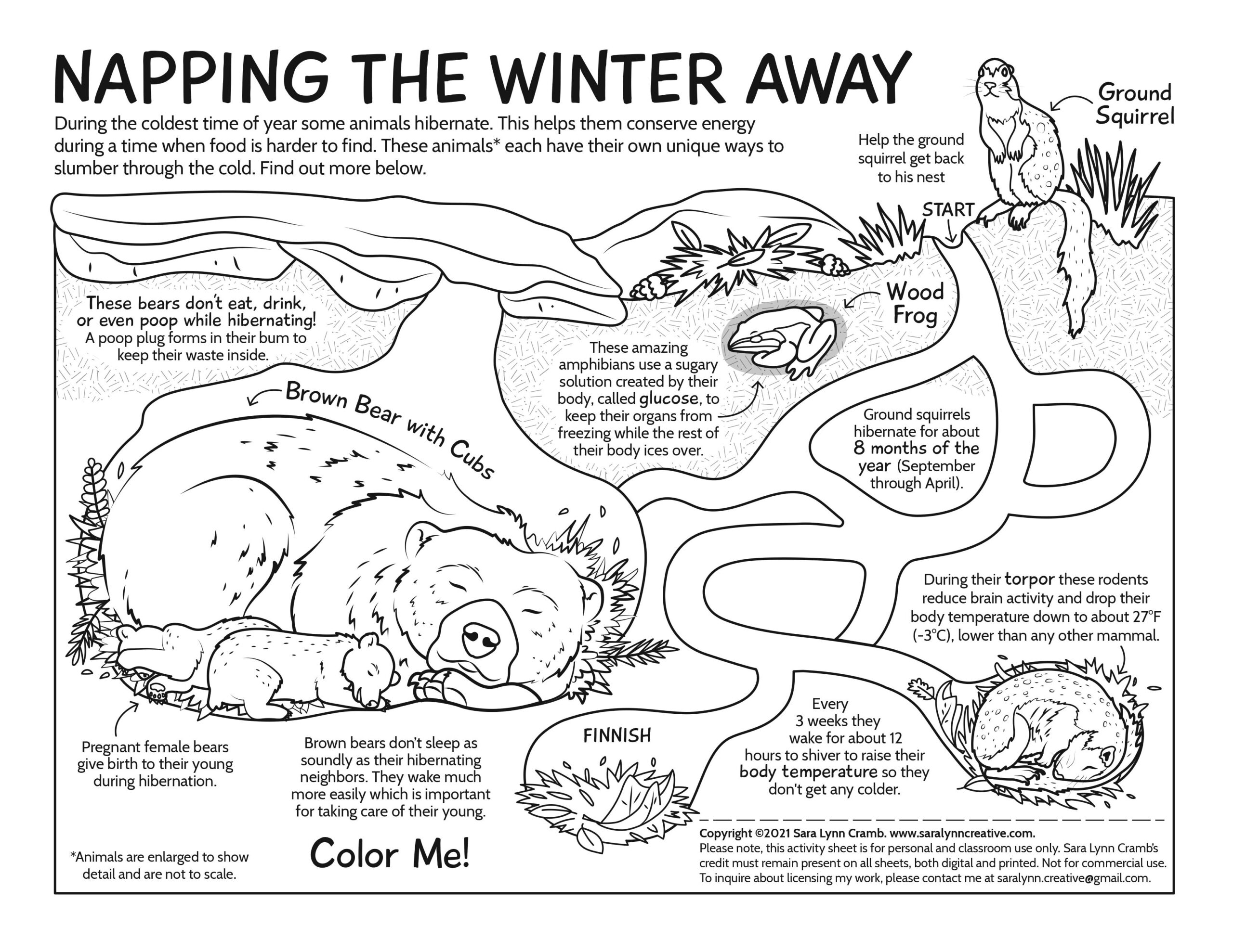 Hibernation Coloring Page Animals That Hibernate Preschool Coloring Pages Coloring Pages