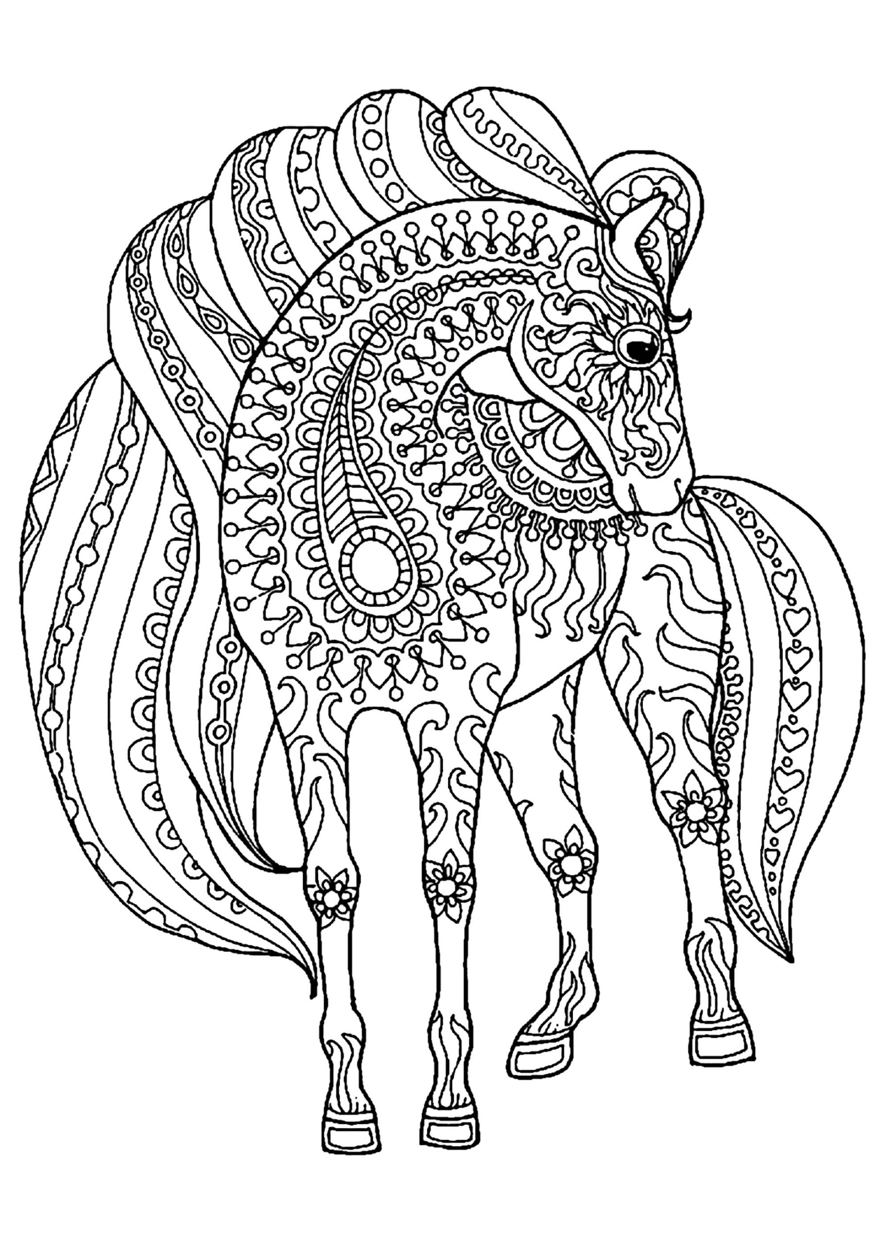 Adult Coloring Pages Horses