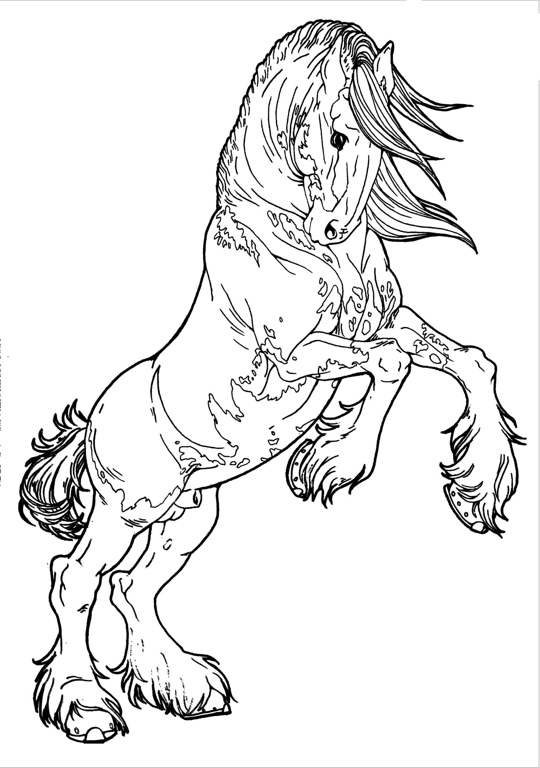 Horse Coloring Pages Jumping Printable Colouring Getcolorings Print Color Sketch Coloring Page
