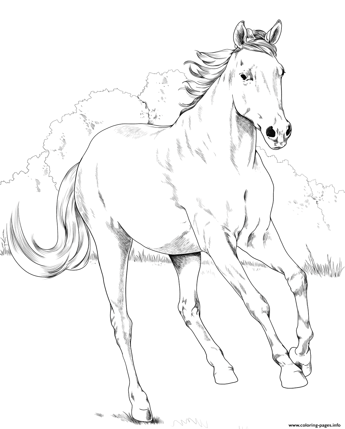 Horse Mustang Mare Coloring Page Printable