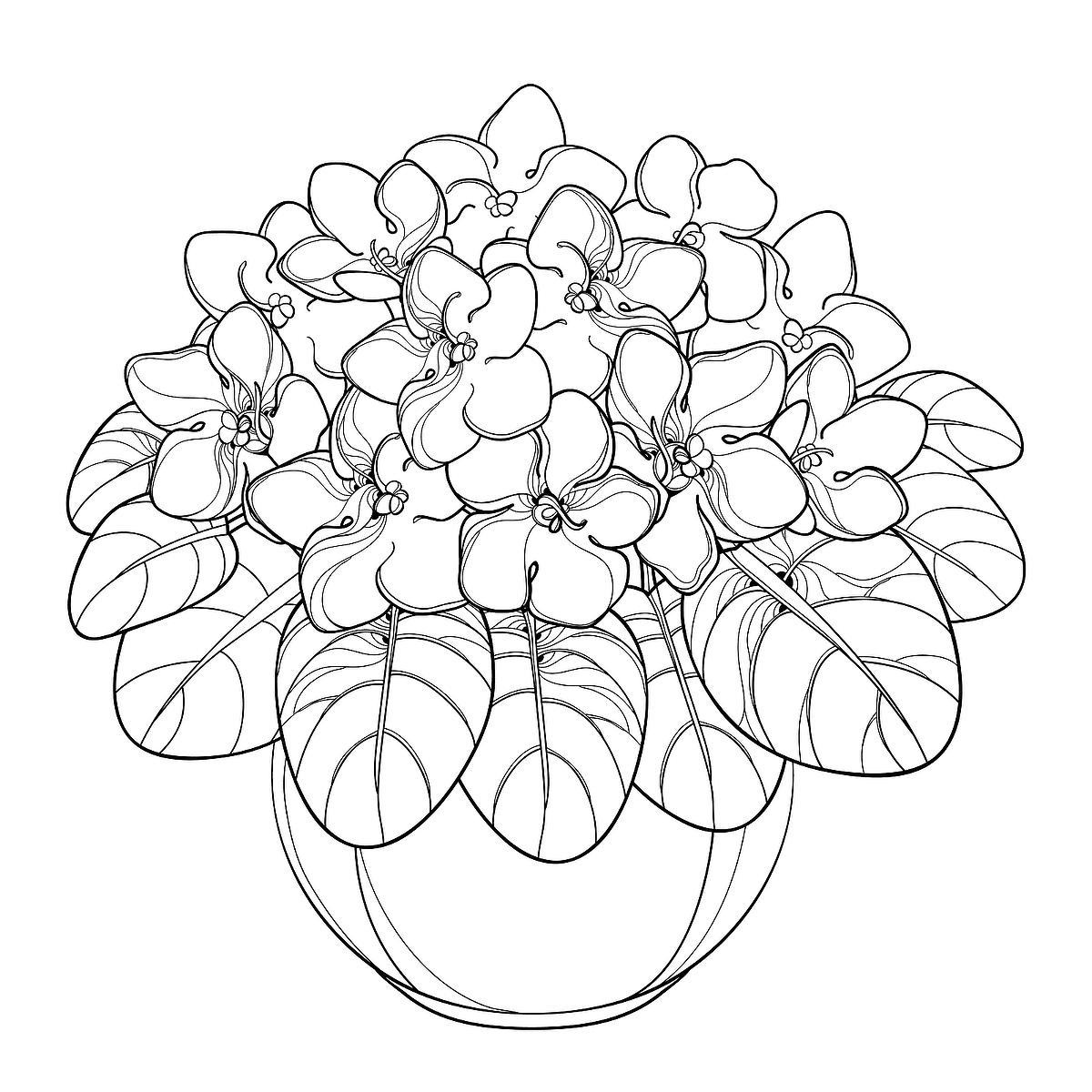 Houseplants Coloring Pages Free Printable Coloring Pages Of Plants For Plant Lovers