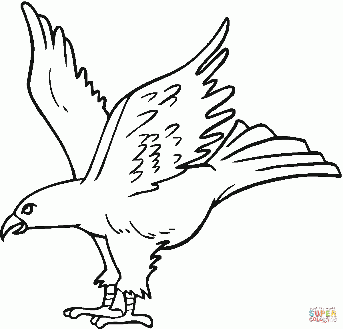 How To Draw A Hawk For Kids Coloring Home
