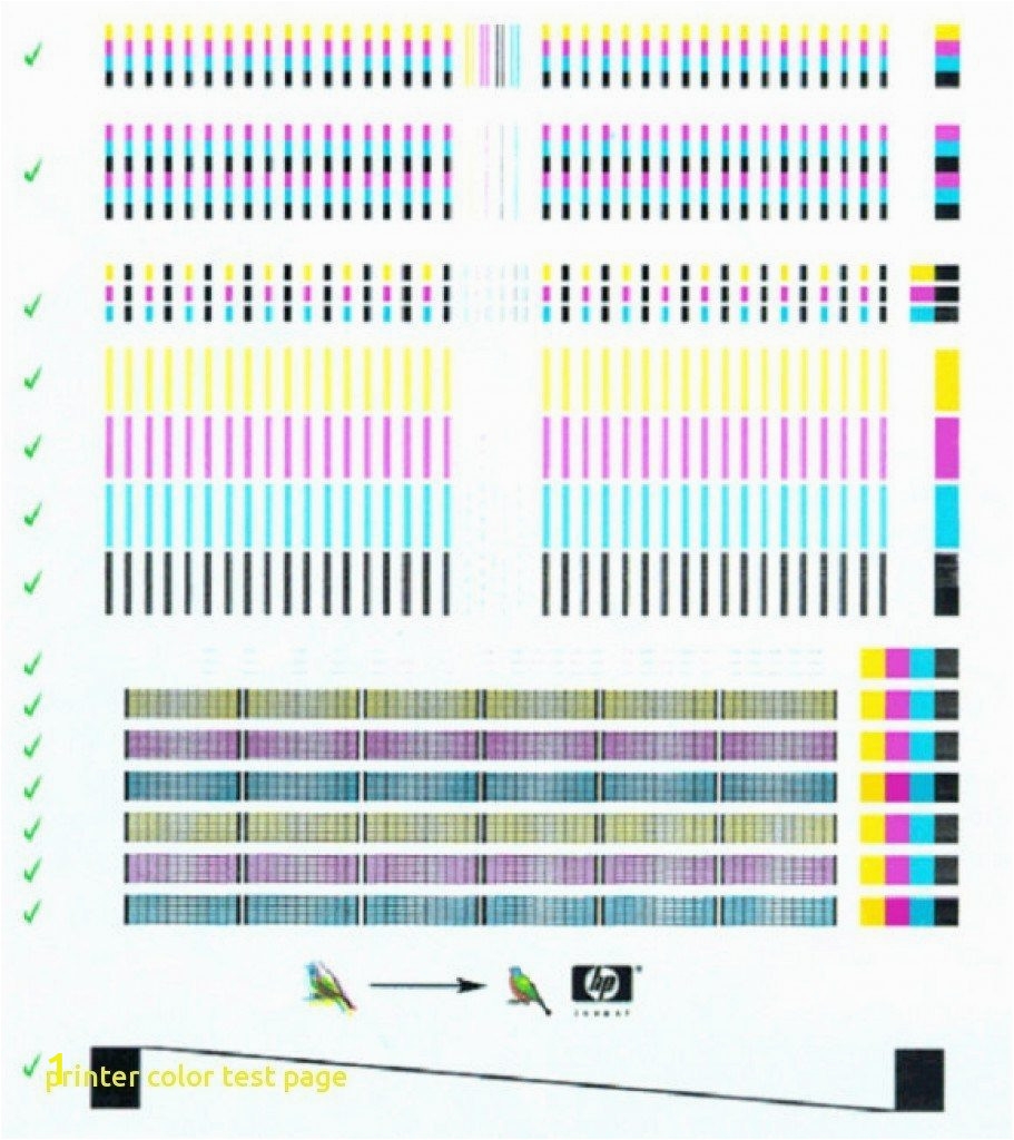 Color Printer Test Page