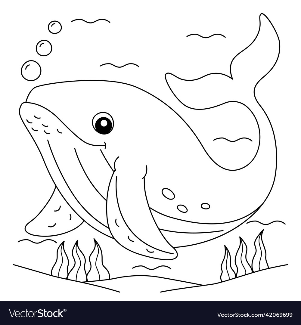 Humpback Whale Coloring Page For Kids Royalty Free Vector